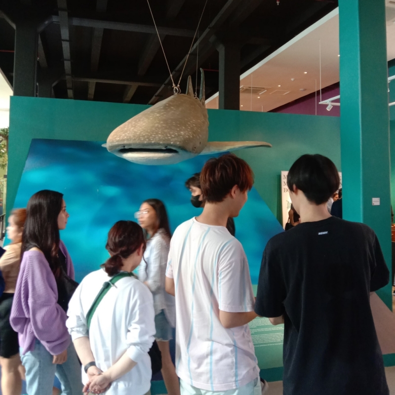 フィリピン留学 Cebu21 - EV Academy-Activity-13